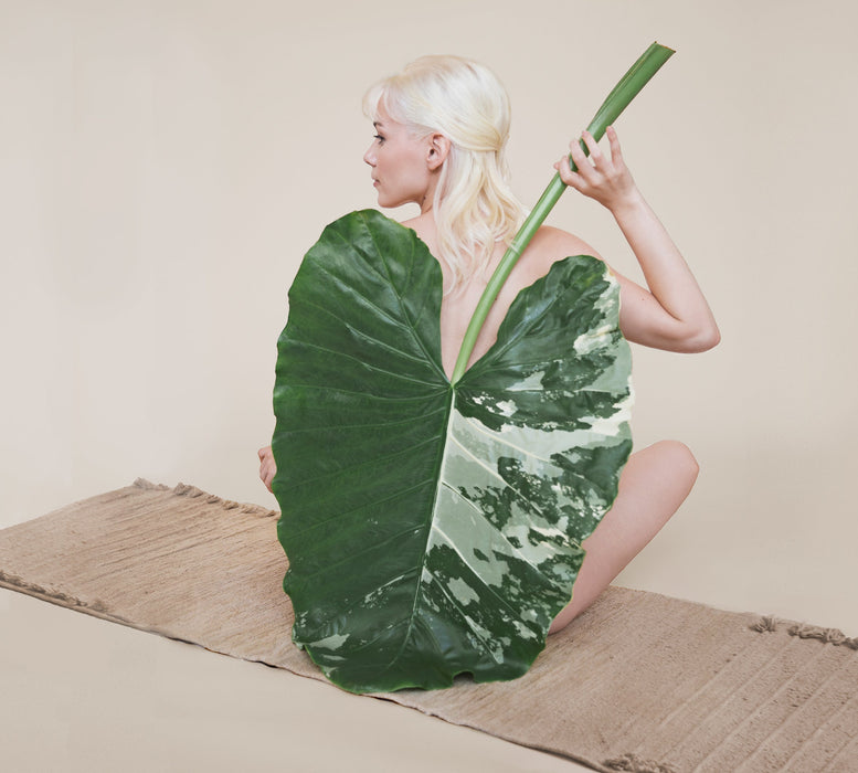 Woman holding a large green leaf over herself, seated on a beige yoga mat, against a plain background