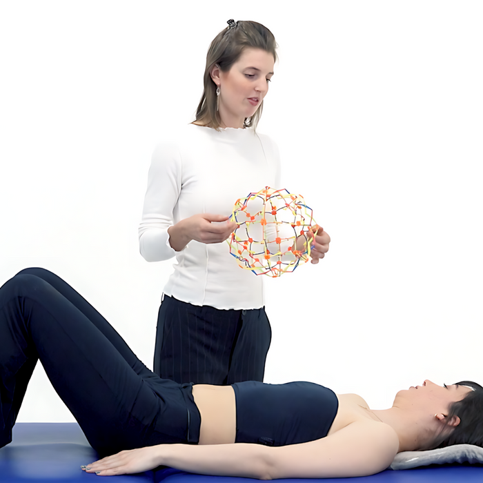 A Holistic View of the Pelvic Floor  - NAT Diploma Course (6 hrs)