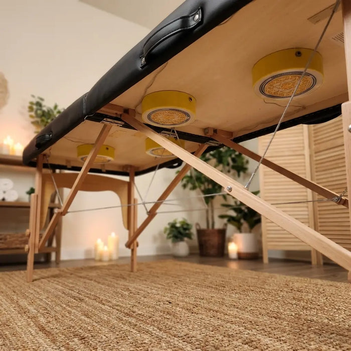 4-Transducer Vibroacoustic Therapy System | Pro Sound Bed Kit (2026)