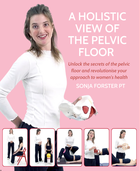 A Holistic View of the Pelvic Floor  - NAT Diploma Course (6 hrs)