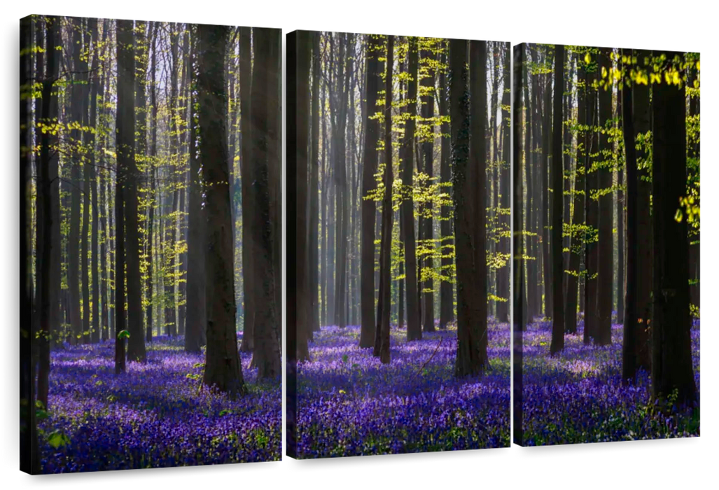 Lavender In The Forest Wall Art