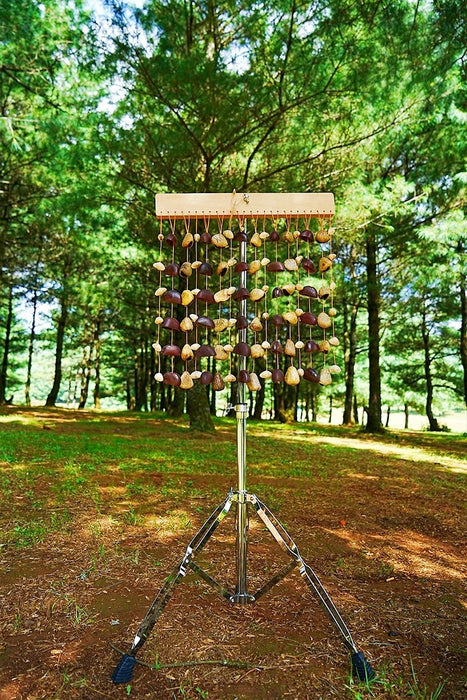 Handmade Entada, Pala Cardamom & Chacha Oleander Seed Shell Bar Wind Chime