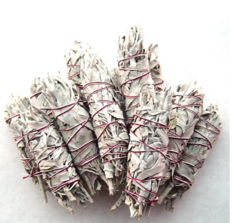 White Sage Wand, Small 5"-6" in (single bundle) - Turquoise Cloud