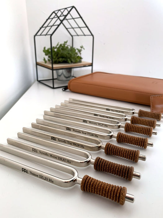 7 Chakra Healing Tuning Fork Set with Travel Case