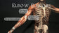 Orthopedic Assessment The Upper Body Video on DVD & Streaming Version - Real Bodywork