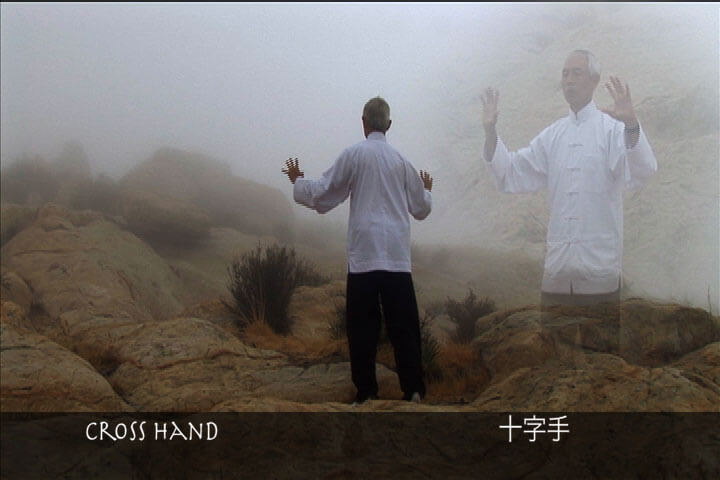 Tai Chi Stillness Through Motion Video on DVD - Real Bodywork
