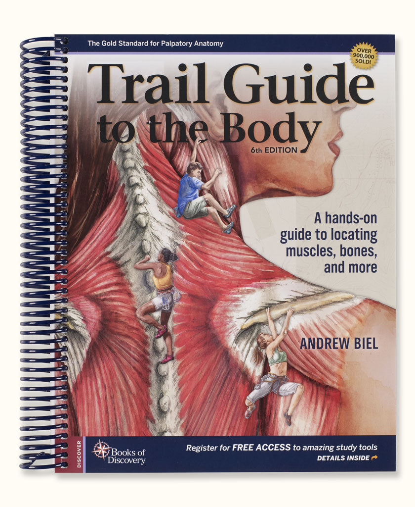 Trail Guide to the Body Textbook, 6th Edition — Spa & Bodywork Market