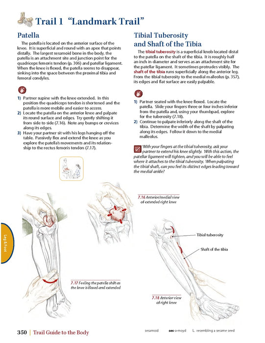 Trail Guide to the Body - 5th Edition - Spa & Bodywork Market