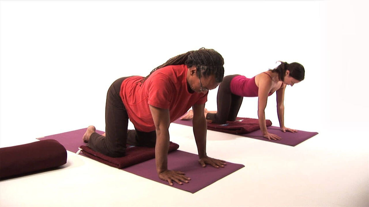 Improve your Yoga Practice from Basics to Expansion DVD with Kanta Barrios