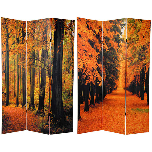 Autumn Trees Art Print Screen (Canvas/Double Sided) - Spa & Bodywork Market