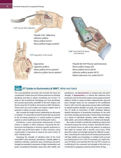 Functional Anatomy for Occupational Therapy - 1st Edition