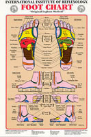 Foot Reflexology Wall Chart - Spa & Bodywork Market