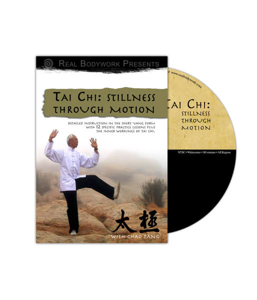 Tai Chi Stillness Through Motion Video on DVD - Real Bodywork